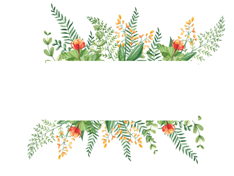 Watercolor floral horizontal frame. Cloudberry leaves and berries, fern, green branches, yellow wildflowers. Can be used for greeting cards, baby shower, banners, blog templates, logos. png