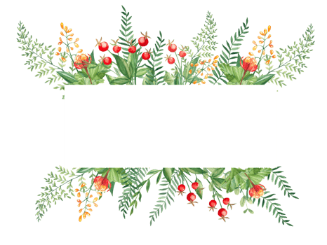 Watercolor floral horizontal frame. Cloudberry leaves and berries, fern, green branches, yellow wildflowers, red berries. Can be used for greeting cards, baby shower, banners, blog templates, logos png