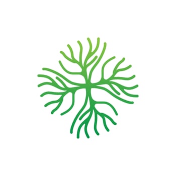 Coral Logo, Marine Plant Design Place Marine Animal, Seaweed Sea Vector