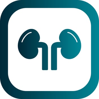 Kidney Vector Icon Design