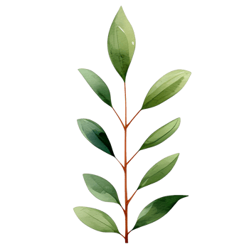 watercolor natural leaf, png