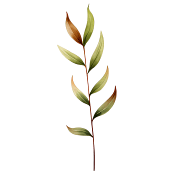 watercolor natural leaf, png