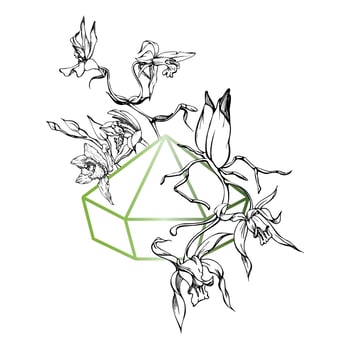 Hand drawn vector ink orchid flowers and branches, monochrome, detailed outline. Composition with crystal form. Isolated on white background. Design for wall art, wedding, print, tattoo, cover, card.
