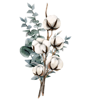Watercolor eucalyptus and cotton flowers bouquet illustration. Hand drawn rustic card for floral wedding designs png