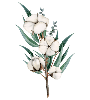 Watercolor eucalyptus and cotton flowers bouquet illustration. Hand drawn rustic card for floral wedding designs png
