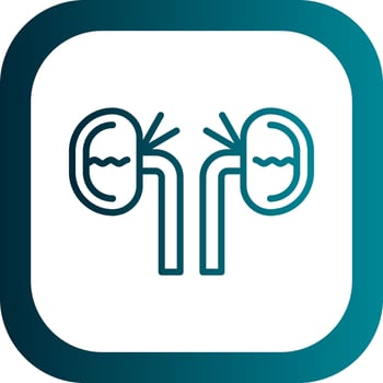 Kidney Vector Icon Design