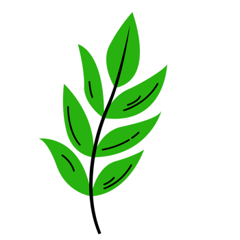 Fresh Single Green Leaf, Leaf of Spring Season, Card Leaf Decoration png
