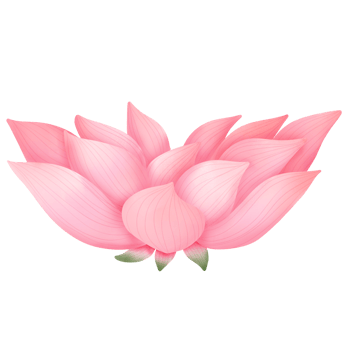 lotus plant watercolor png