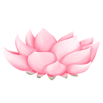 lotus plant watercolor png