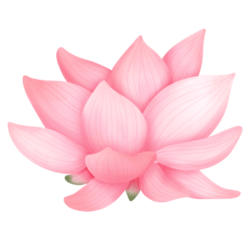 lotus plant watercolor png