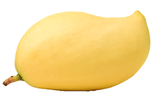 mango fruit tropical transparent png