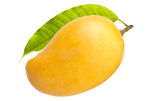 mango fruit tropical transparent png