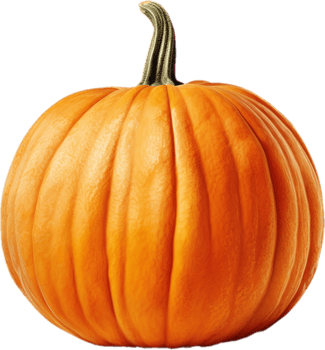 pumpkin halloween aesthetic png