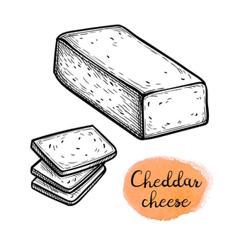 Sliced cheddar cheese. Ink sketch isolated on white background. Hand drawn vector illustration. Vintage style stroke drawing.