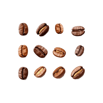 Fresh Coffee Beans png
