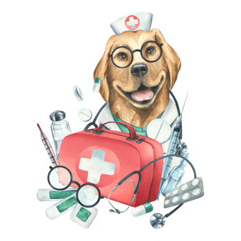 Dog doctor in a dressing gown, glasses, with a stethoscope, a suitcase and medical instruments, pills, injections. Watercolor illustration, hand drawn. Isolated composition png