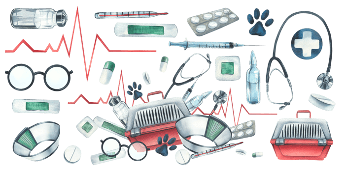 Veterinary equipment. Watercolor illustration. . For the design and decoration of clinics, hospitals, first-aid posts, pharmacies for animals. Composition with elements png