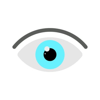 Flat eye icon sign. vector illustration isolated on white background