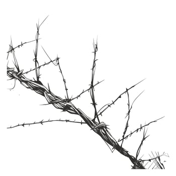 Metal steel barbed wire illustration vector