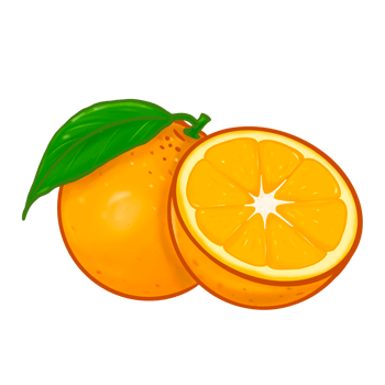 Illustration for orange fruit png