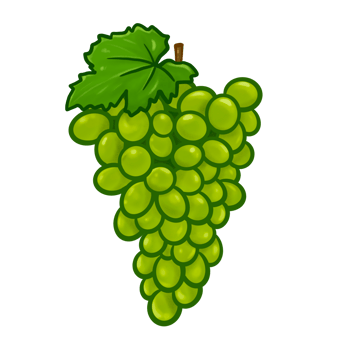 Illustrator of green grapes fruit png