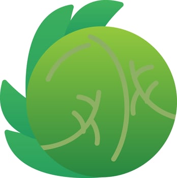 White Cabbage Vector Icon Design