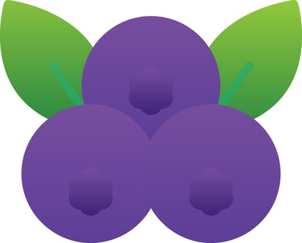 Blueberry Vector Icon Design