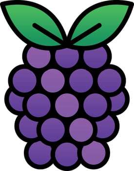 Raspberry Vector Icon Design