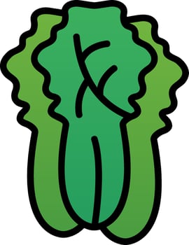 Napa Cabbage Vector Icon Design