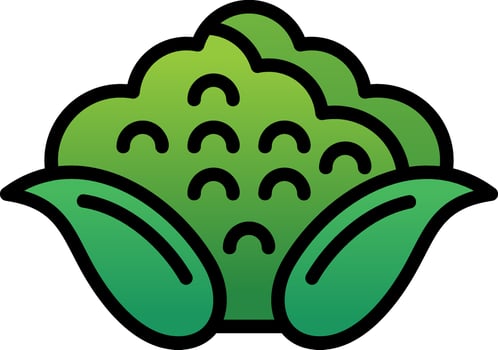 Cauliflower Vector Icon Design