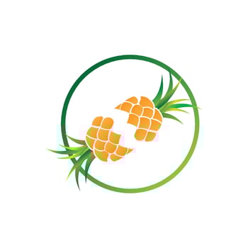 Pineapple Logo Design, Fresh Fruit Vector, Plantation Illustration, Fruit Product Brand Label vector