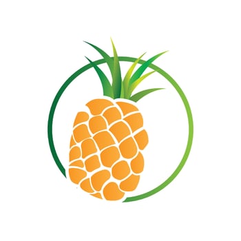 Pineapple Logo Design, Fresh Fruit Vector, Plantation Illustration, Fruit Product Brand Label vector