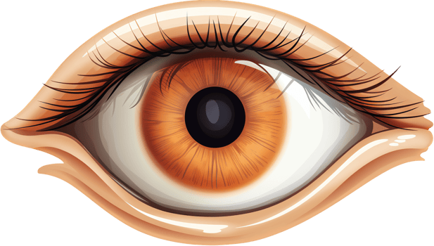 Eye with . png