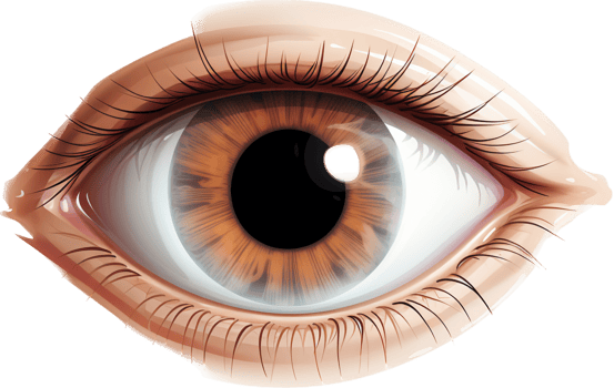 Eye with . png