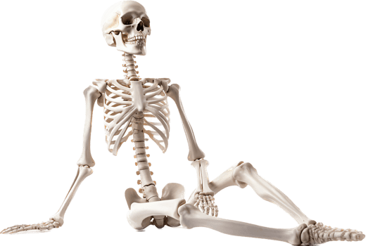 Skeleton with . png