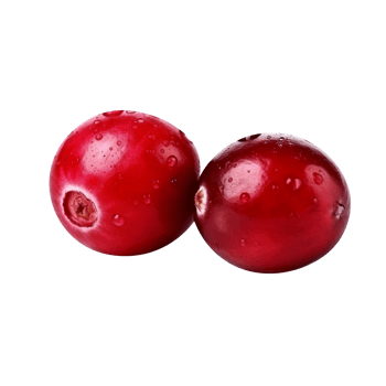 Fresh cranberry isolated on transparent background png
