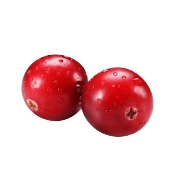 Fresh cranberry isolated on transparent background png