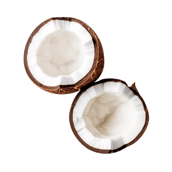 broken coconuts on a transparent background png