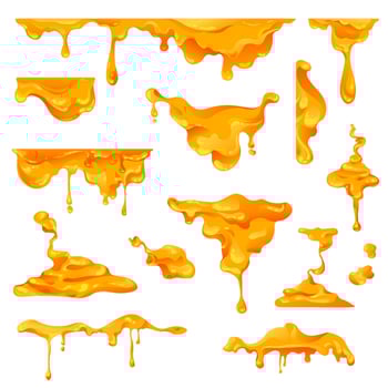 Honey sweet nectar collected by bees, syrup fluid vector