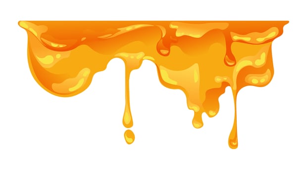 Honey liquid, tasty and sweet nectar from flowers vector