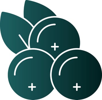 Blackcurrant Vector Icon Design