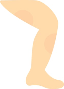 Leg  Vector Icon Design