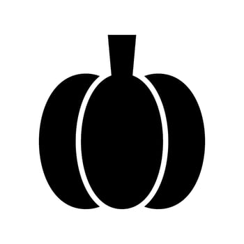 Pumpkin Icon Vector Symbol Design Illustration