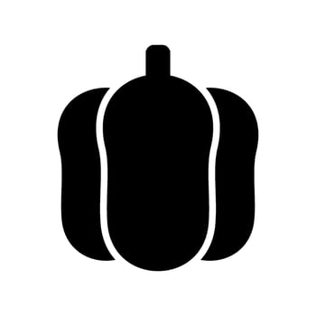 Pumpkin Icon Vector Symbol Design Illustration