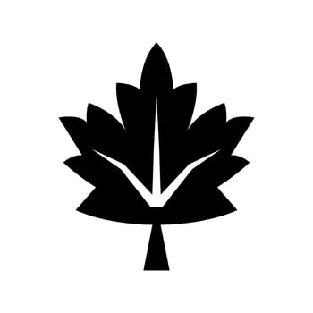 Maple Icon Vector Symbol Design Illustration