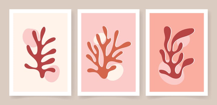 Contemporary organic shapes minimalist in Matisse style for wall decor vector