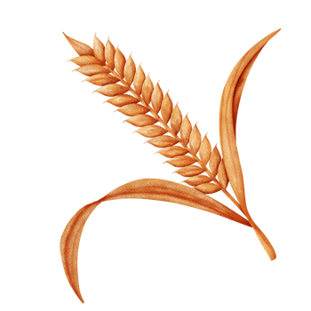Happy Thanksgiving concept. png