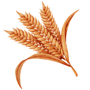 Happy Thanksgiving concept. png