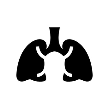 Lungs Icon Vector Symbol Design Illustration