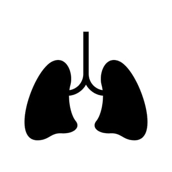Lungs Icon Vector Symbol Design Illustration